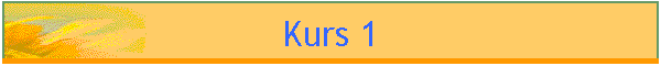 Kurs 1